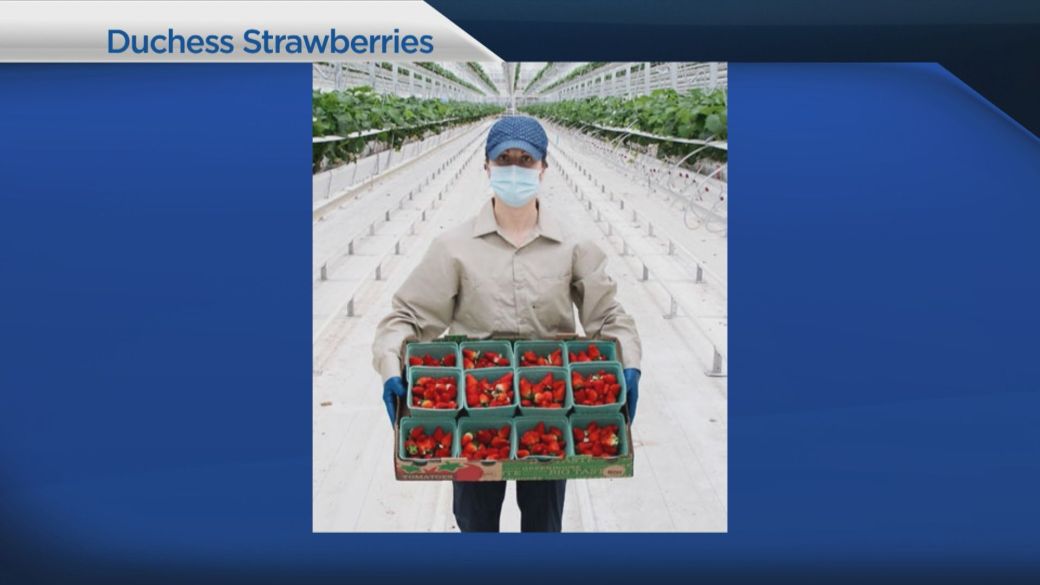 总部位于阿尔伯塔省的食品公司恒天然申请破产保护