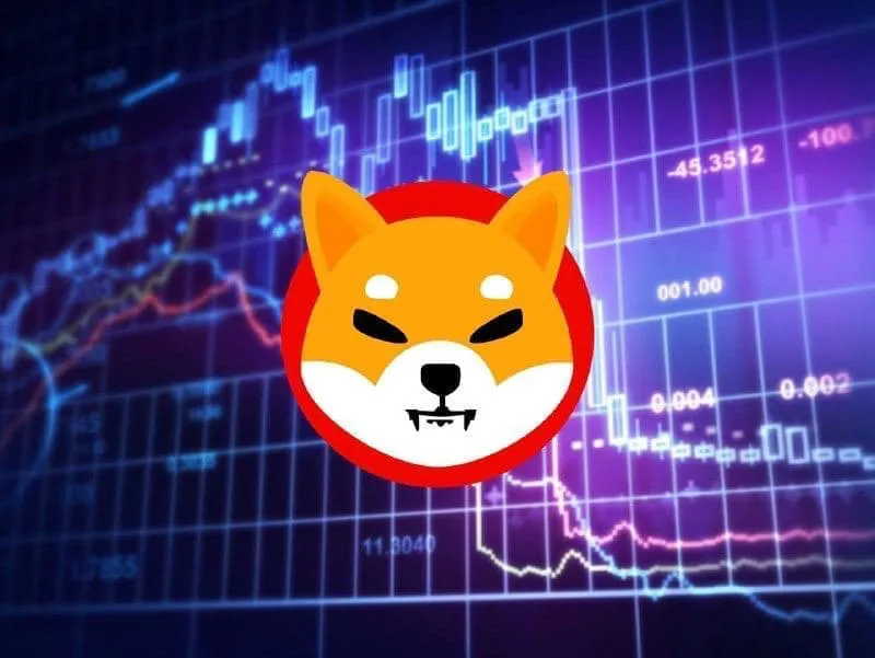 加密货币洞察:1000美元投资日本柴犬(SHIB)如何获得回报