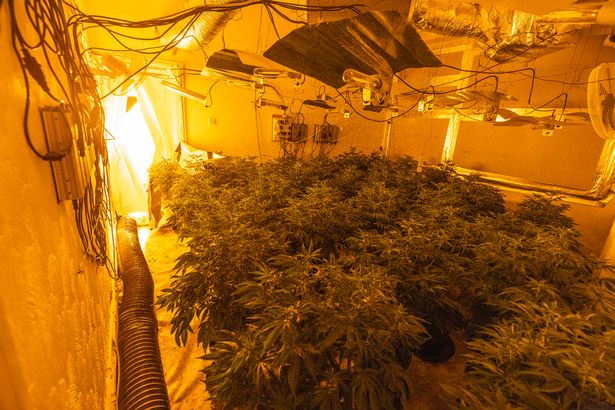 从外面看,它就像一个普通的家庭住宅,但里面却讲述了一个完全不同的故事